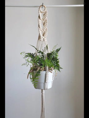 Suportes para plantas  – Corda de algodão