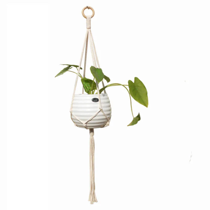 Suportes para plantas  – Corda de algodão