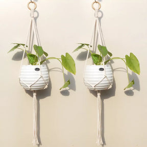 Suportes para plantas  – Corda de algodão