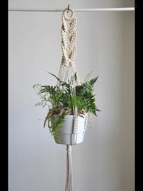 Suportes para plantas  – Corda de algodão
